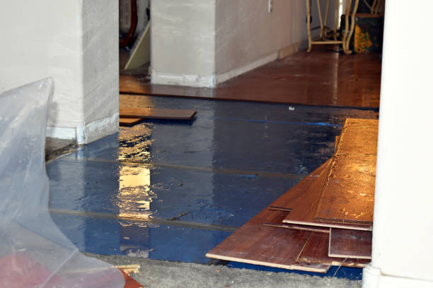 Professional Water Damage Restoration technician working in Crawford, TN